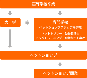 ナリカタ ペットショップスタッフ編 ペットショップスタッフへの道のり