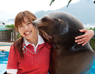 ナリカタ 水族館飼育員編 夢を叶えた先輩たち