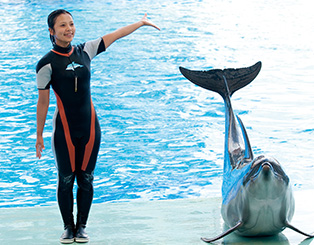 ナリカタ 水族館飼育員編 水族館飼育員の仕事