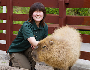 ナリカタ 動物園飼育員編 動物園飼育員の仕事